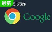 Google Chrome谷歌浏览器官方版 v125.0.6213.86免费版